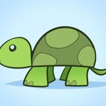 220x220 How To Draw How To Draw A Turtle For Kids - Turtle Drawing Easy