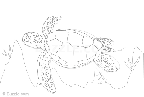 500x337 Learn How To Draw A Sea Turtle Using These Easy Instructions - Turtle Drawing Easy
