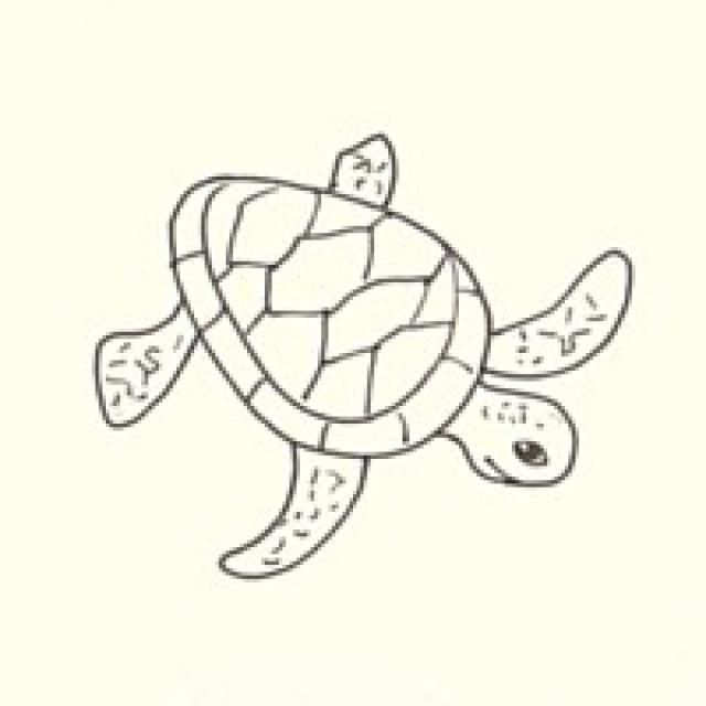 640x640 Draw A Sea Turtle In Easy Steps Painting Techniques Sea - Turtle Drawing Easy