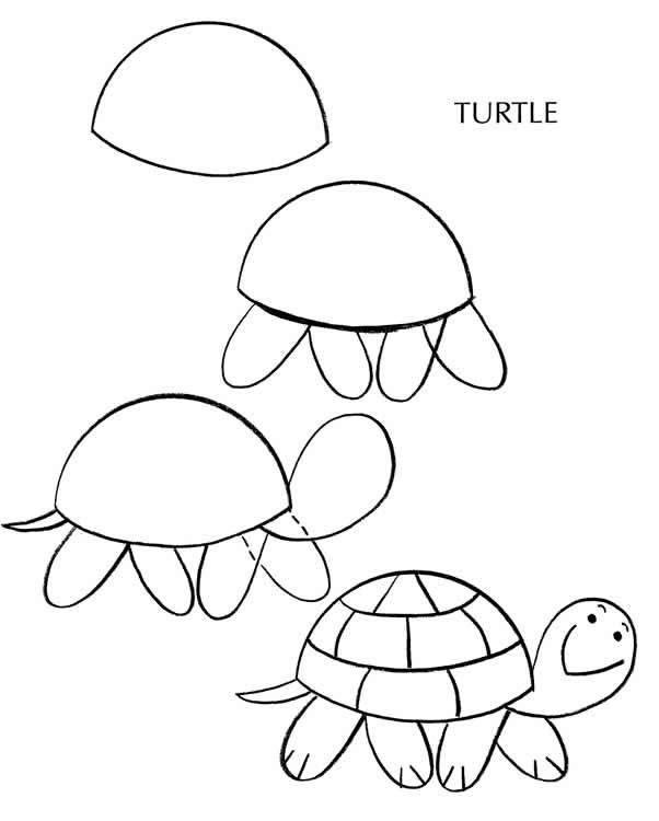 602x750 How To Draw Franklin The Turtle Step Reptile Pet Dogs - Turtle Drawing For Kids