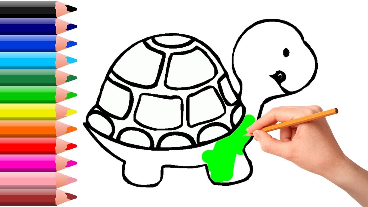 1280x720 How To Coloring Turtle Drawing Book For Kids - Turtle Drawing For Kids