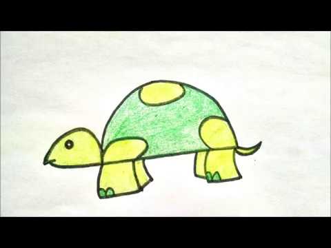 480x360 How To Draw A Turtle - Turtle Drawing For Kids