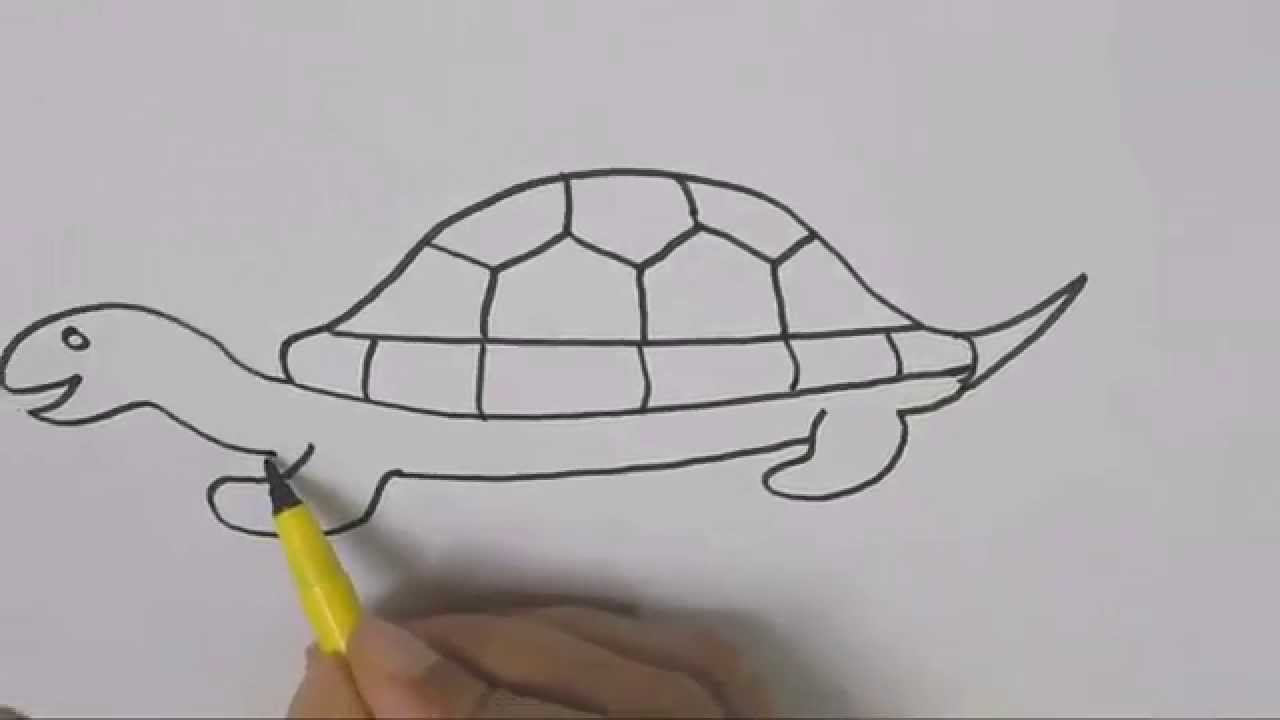 1280x720 How To Draw A Turtle Drawing Tutorial Step - Turtle Drawing For Kids