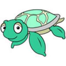 220x220 How To Draw How To Draw A Sea Turtle - Turtle Drawing For Kids