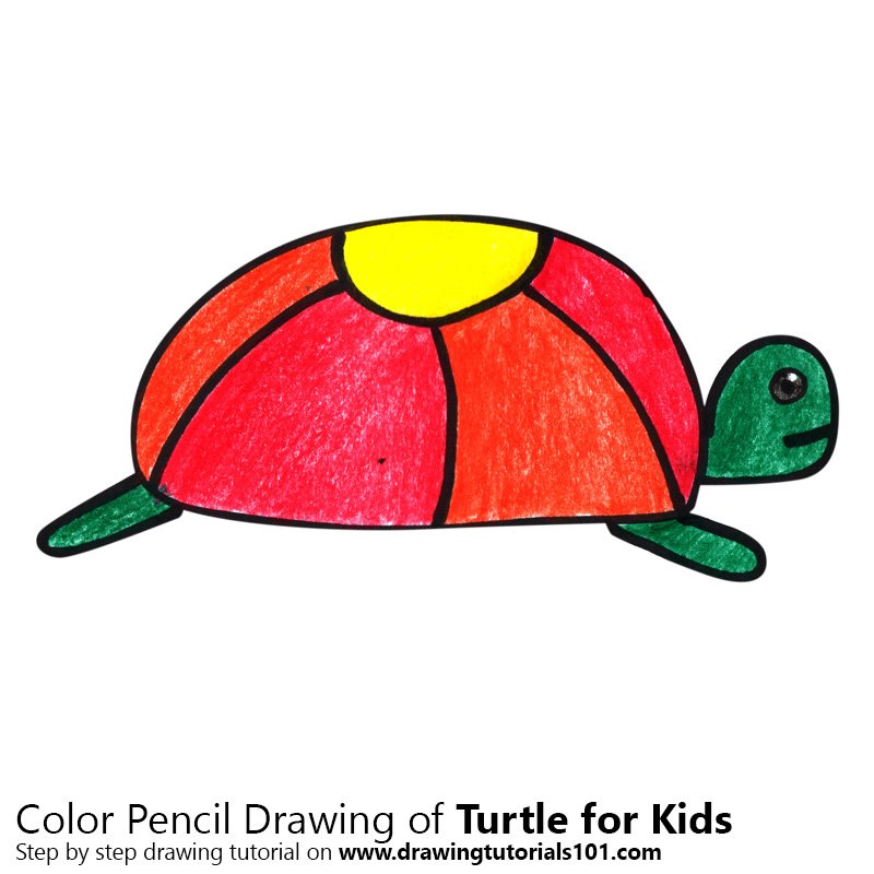 800x800 Learn How To Draw A Turtle For Kids - Turtle Drawing For Kids