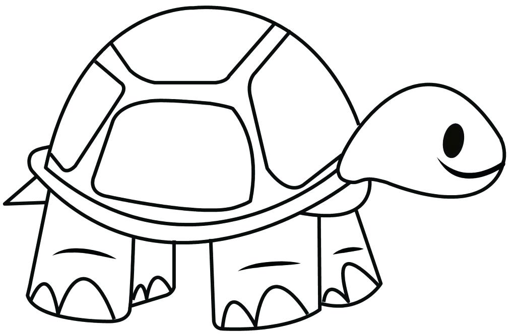 1024x668 Sea Turtle In Pencil Sketch Free Coloring - Turtle Drawing For Kids