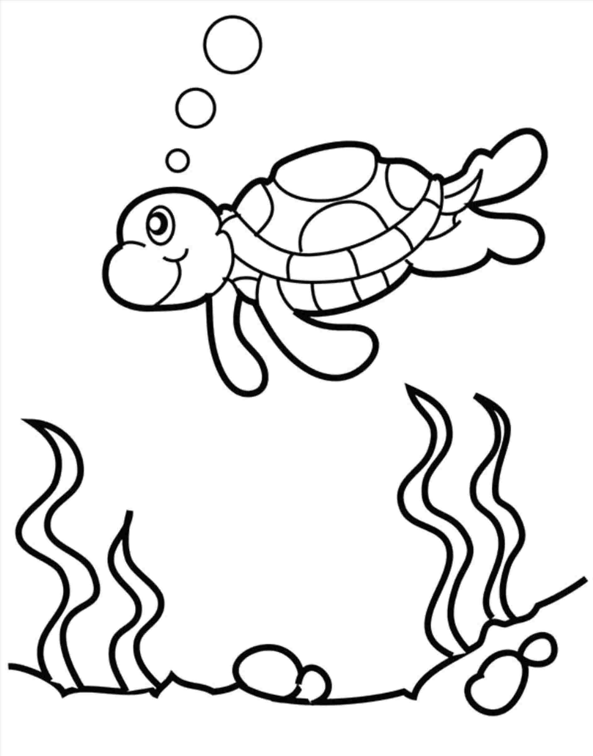 1899x2419 Draw Simple Drawing Sea Turtle Drawing For Kids Of A Turtle - Turtle Drawing For Kids
