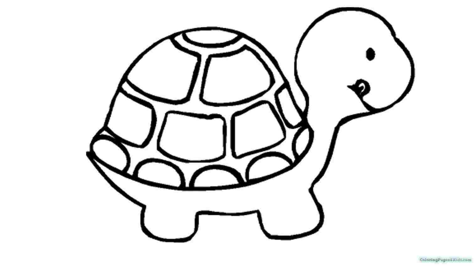 1517x853 To Draw A For Kids Noterhthelittlemermaidcom How Sea Turtle - Turtle Drawing For Kids