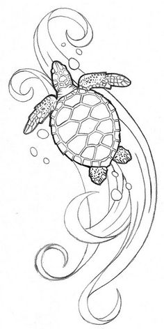 236x472 How To Draw A Sea Turtle Step Art With Turtles - Turtle Drawing Images