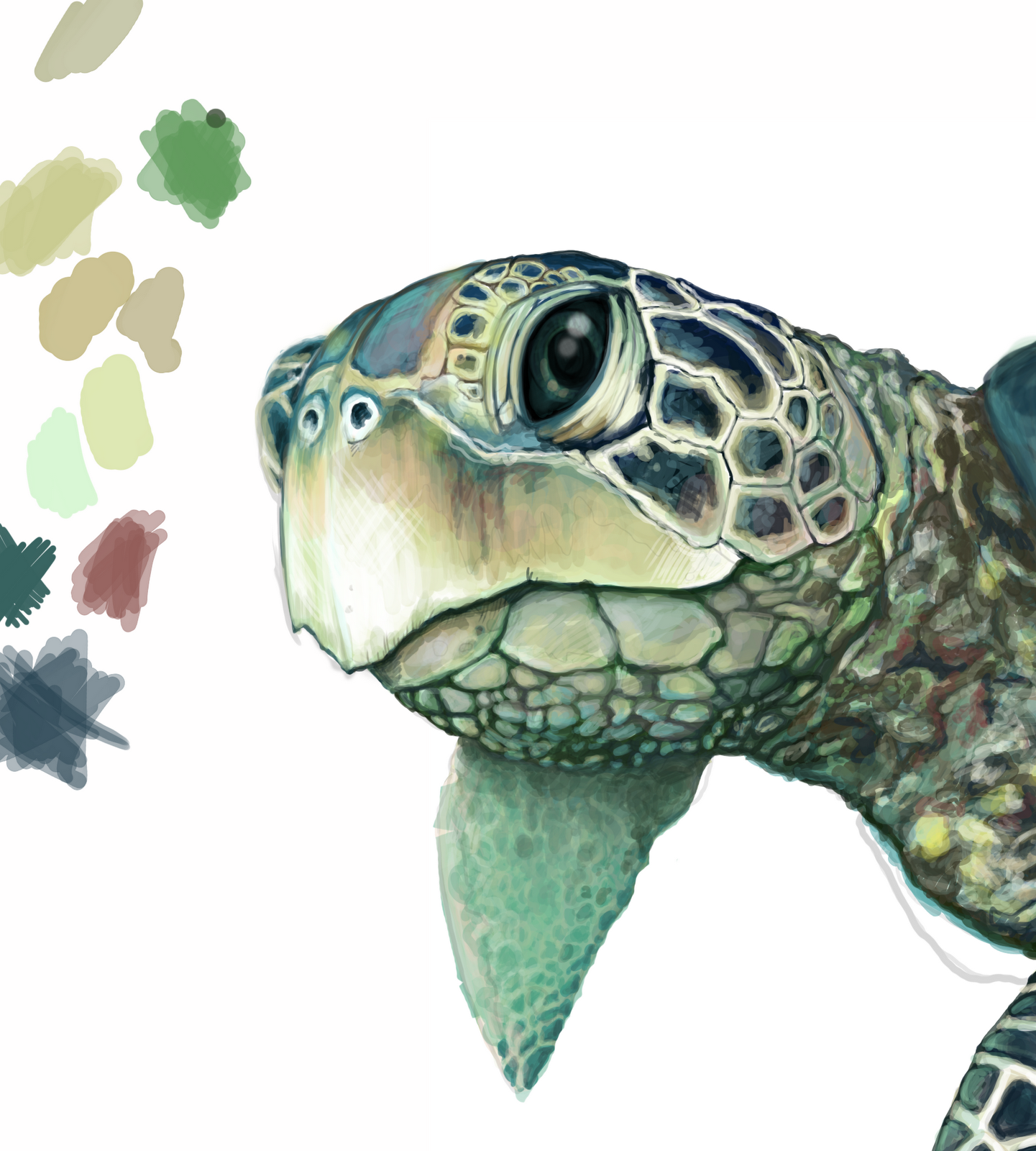 1441x1600 Sea Turtle Face Drawing - Turtle Face Drawing