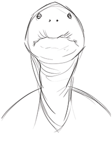 221x287 Using A Spirit Animal To Draw Your Subject Proko - Turtle Face Drawing