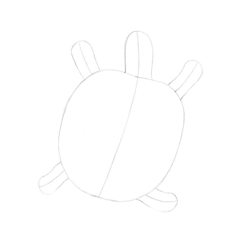850x831 How To Draw A Turtle - Turtle Head Drawing