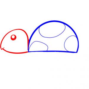 302x302 How To Draw How To Draw A Turtle For Kids - Turtle Head Drawing