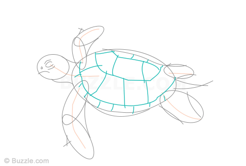 Turtle Head Drawing at PaintingValley.com | Explore collection of ...