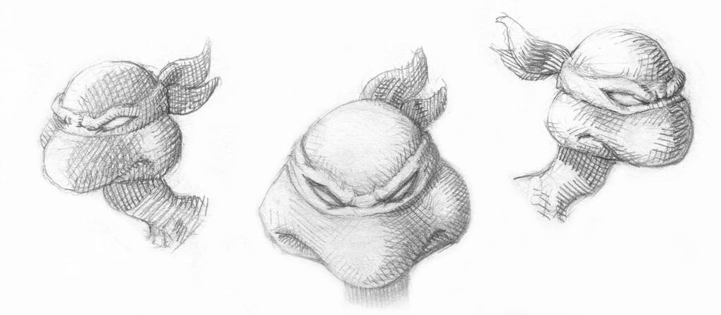 1024x448 Ninja Turtle Head Study Detail - Turtle Head Drawing
