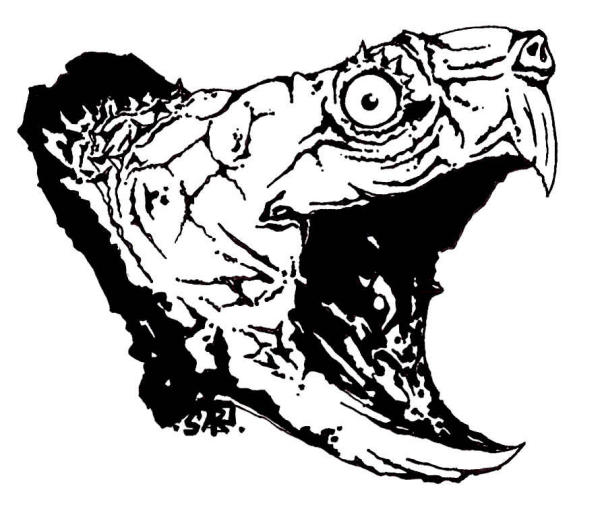 600x513 Snapping Turtle Line Drawing - Turtle Head Drawing