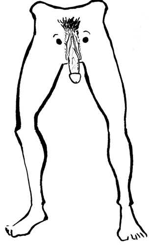 310x497 Dvhstudios The Making Of Turtlehead - Turtle Head Drawing