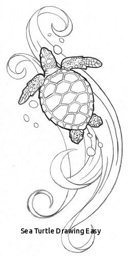 250x500 Sea Turtle Drawing Easy Over The Past Year Or So I Ve Been Loving - Turtle Images Drawing