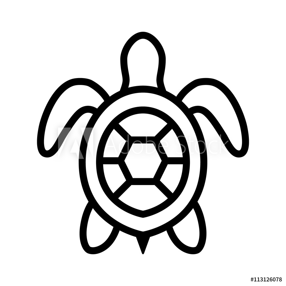 1000x1000 Photo Art Print Sea Turtle Marine Turtle Top View Line Art - Turtle Line Drawing