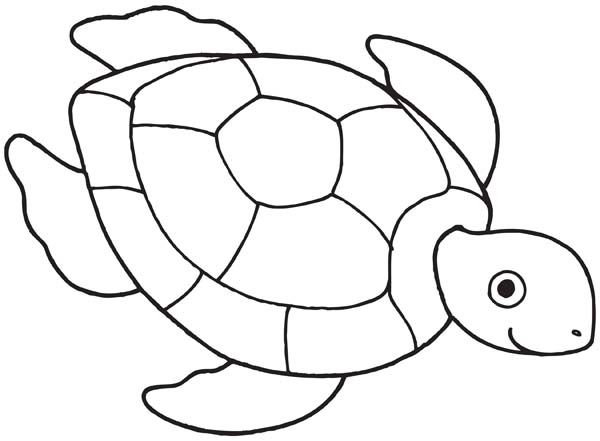 600x441 Sea Turtle Line Drawing - Turtle Line Drawing