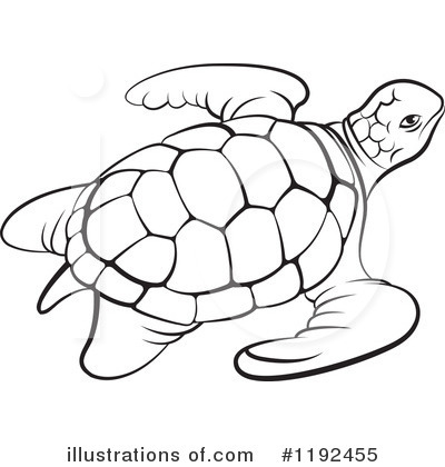 400x420 Sea Turtle Outline Clipart Line Drawing Best Free Coloring - Turtle Line Drawing