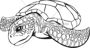 300x160 Sea Turtle Kawaii Clipart - Turtle Line Drawing