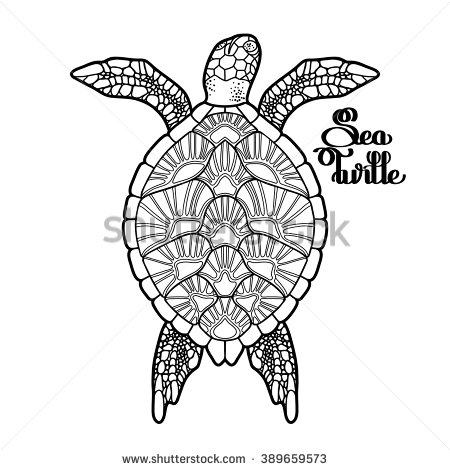 450x470 Tortoise Turtle Top View Coloring Pages Drawn Sea Line Drawing - Turtle Line Drawing