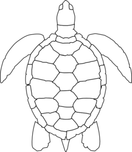 258x297 Turtle Outline Clip Art - Turtle Line Drawing