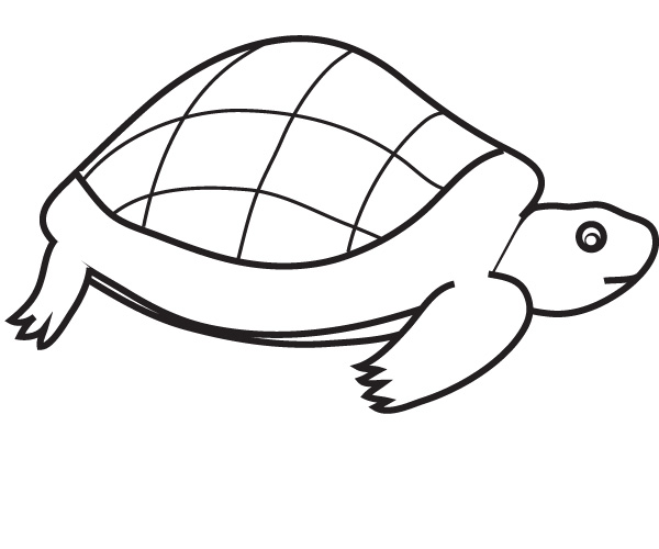 Turtle Line Drawing at PaintingValley.com | Explore collection of ...