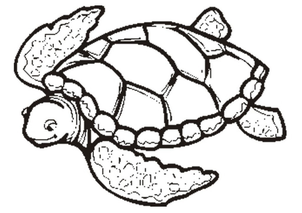 1024x723 Cute Sea Turtle Coloring Pages New Free Turtle Outline Download - Turtle Line Drawing