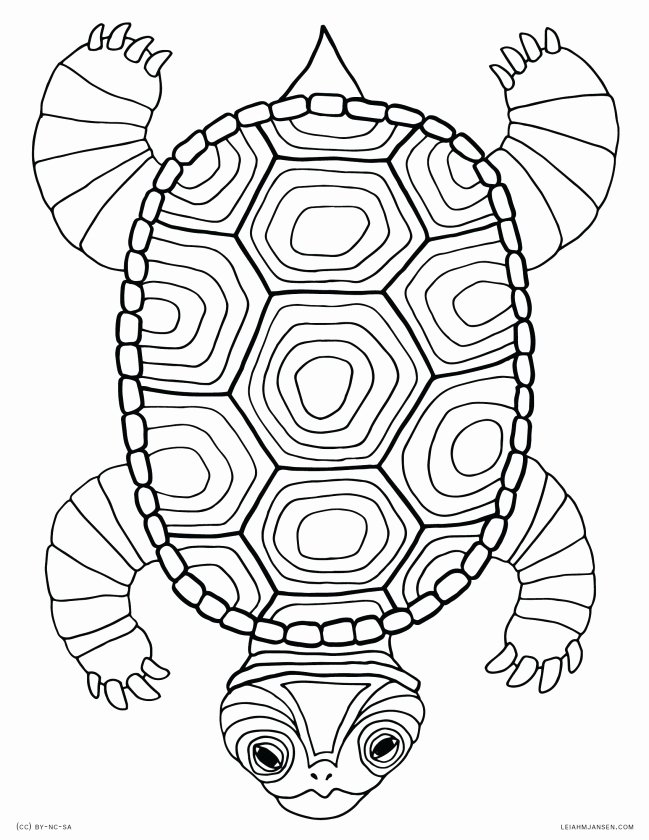 649x840 sea turtle outline elegant unique sea turtle cartoon drawing - Turtle Outline Drawing