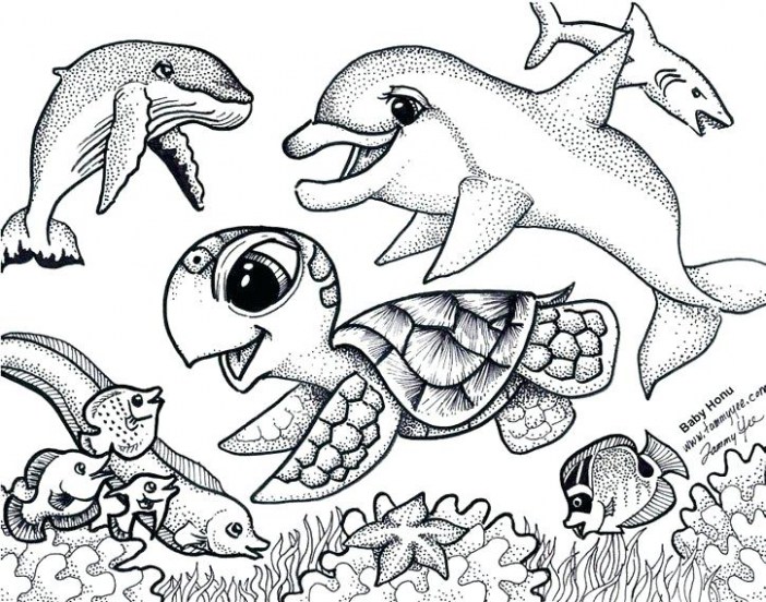 702x552 Turtle Coloring Pictures Best Of Sea Turtle Coloring - Turtle Outline Drawing