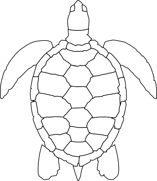 516x594 Turtle Outline Clip Art - Turtle Outline Drawing
