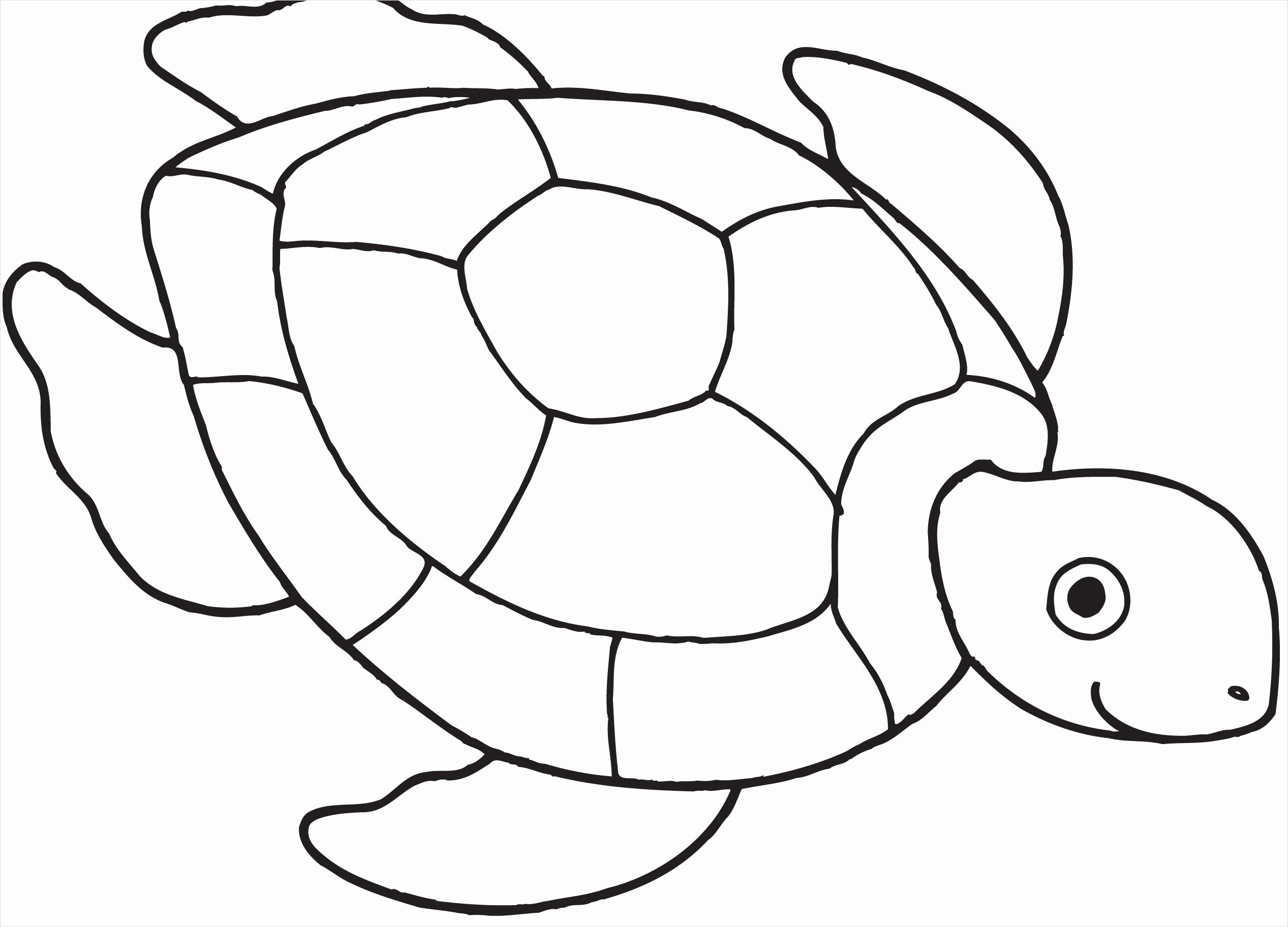 2534x1824 Turtle Outline Coloring Pages With Sea Picture Beautiful Ocean - Turtle Outline Drawing