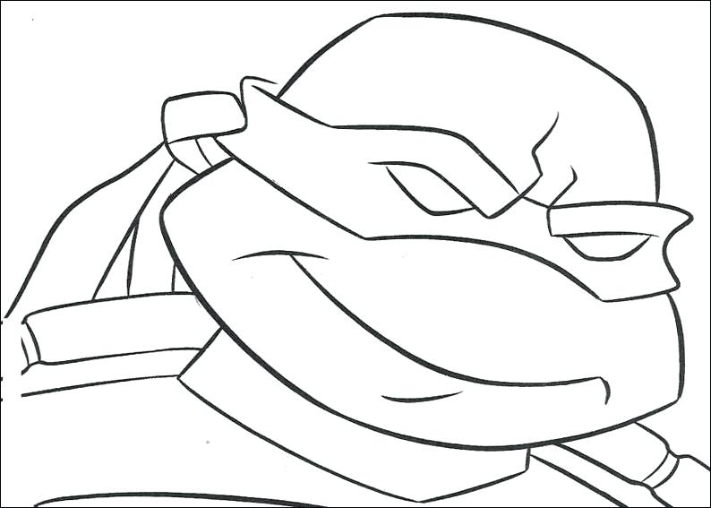794x567 Turtle Outline Drawing At Free For Personal Use Ninja Images - Turtle Outline Drawing