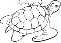 200x140 Sea Turtle Clipart Turtle Outline Drawing - Turtle Outline Drawing