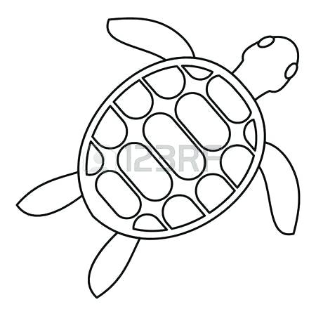 450x450 Sea Turtle Outline - Turtle Outline Drawing