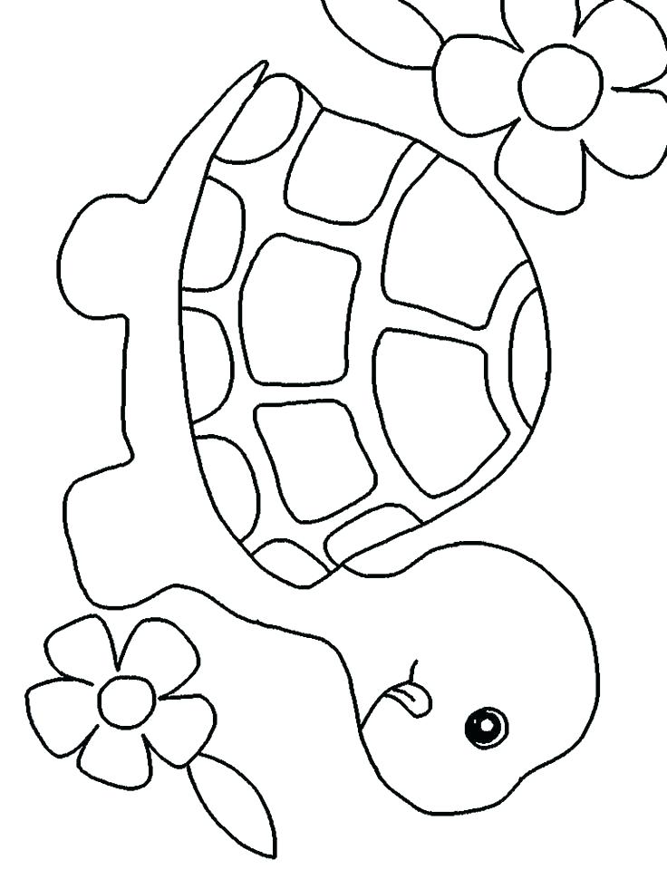 Turtle Drawings Godshelters - Turtle Outline Drawing. 
