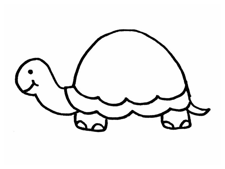 736x552 Collection Of Free Turtle Clipart Outline Sales Clipart - Turtle Outline Drawing