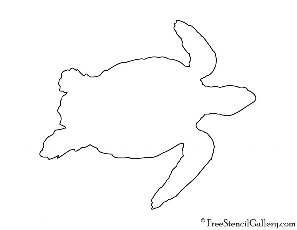 Turtle Outline Drawing at PaintingValley.com | Explore collection of ...