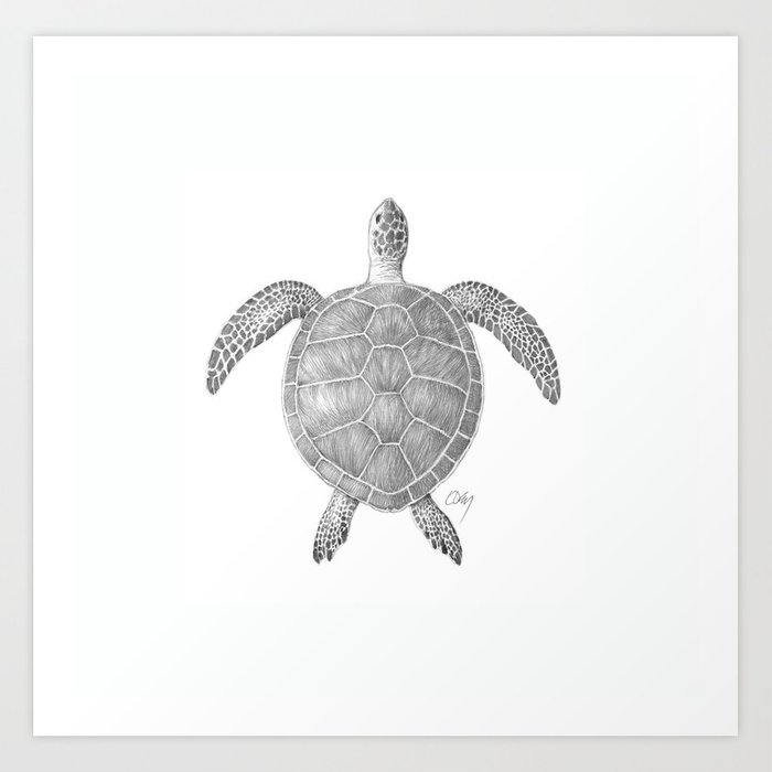 700x700 Sea Turtle Pencil Drawing Art Print - Turtle Pencil Drawing
