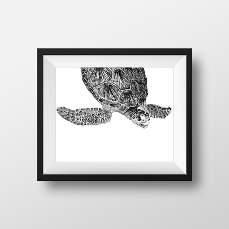 794x794 sea turtle pencil drawing print sea turtle illustration etsy - Turtle Pencil Drawing