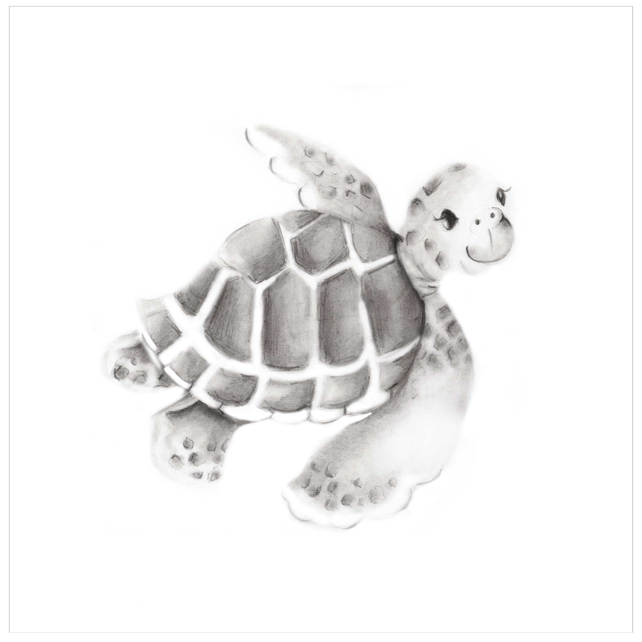 2048x2048 Baby Turtle Nursery Art Print - Turtle Pencil Drawing