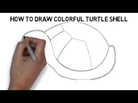 480x360 How To Draw Colorful Turtle Shell Quickly And Easily - Turtle Shell Drawing