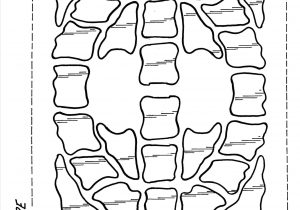 300x210 Turtle Shell Drawing - Turtle Shell Drawing