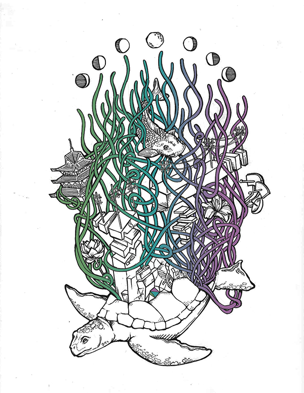 600x776 Turtle Shell On Pratt Portfolios - Turtle Shell Drawing