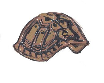 340x270 Turtle Shell Drawing Etsy - Turtle Shell Drawing