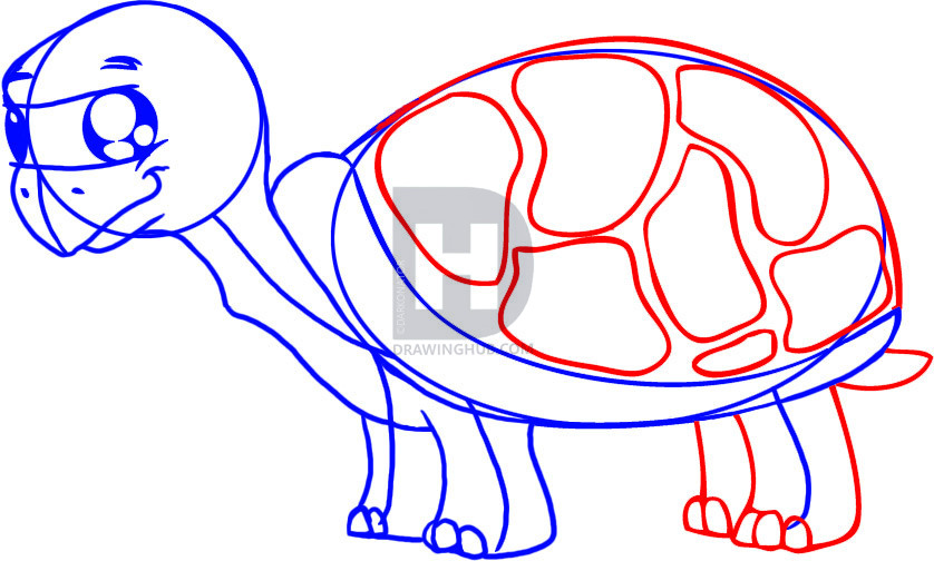 838x504 How To Draw A Cartoon Turtle, Step - Turtle Shell Pattern Drawing