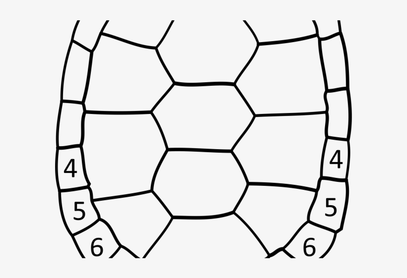 Turtle Shell Pattern Drawing at PaintingValley.com | Explore collection ...