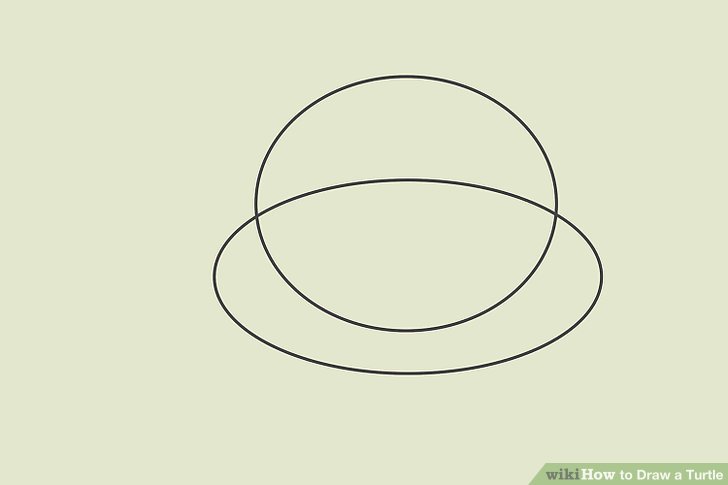 728x485 Ways To Draw A Turtle - Turtle Shell Pattern Drawing